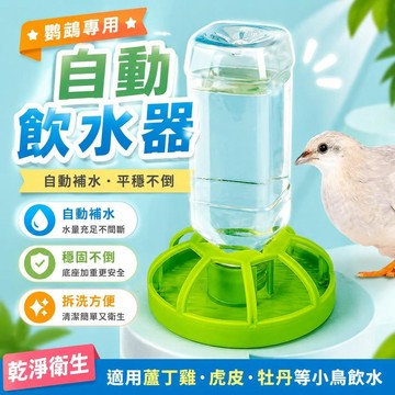 ⚡臺灣倉出⚡優選⭐鸚鵡專用自動下料器飲水機餵食器蘆丁雞食盒水壺虎皮牡丹飼料盒