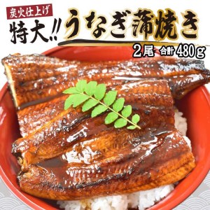 うなぎ蒲焼き2尾入り 480g（蒲焼たれ4袋 山椒付き）