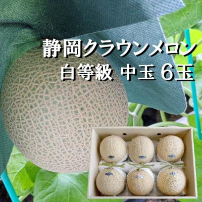 ふるさと納税 森町 クラウンメロン中玉(1.3kg前後)6玉入り