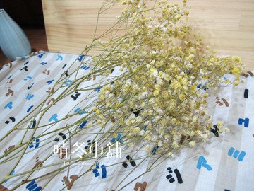 [晴冬小舖] 進口乾燥花材-漸層嫩黃色染色滿天星 （乾燥花 不凋花 花圈、花束）3D3012