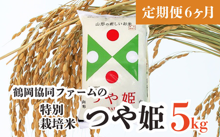 特別栽培米つや姫 5kg (5kg×1袋)×6ヶ月　鶴岡協同ファーム