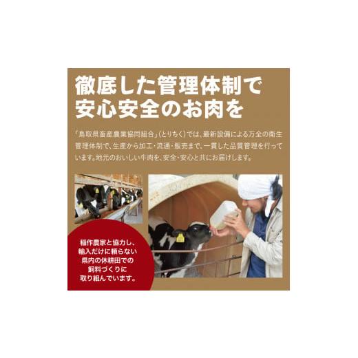 ふるさと納税 鳥取県 鳥取市 1200 鳥取牛ヒレステーキ 3枚(390g)