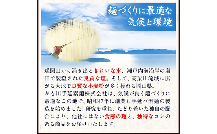 うどん 手延べうどん 200g×20袋 4kg かも川手延素麺株式会社《90日以内に発送予定(土日祝除く)》岡山県 浅口市 紙箱入 お土産 送料無料 麺 小麦 粉もの---124_94_90d_23_25000_20---