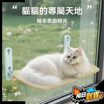 【現貨⚡ 隔日達】貓跳台 貓爬架 貓吊床 貓咪用品 貓床 折疊貓吊床 貓吊床掛式 吸盤貓吊床 窗戶貓吊床 貓吊床窗戶