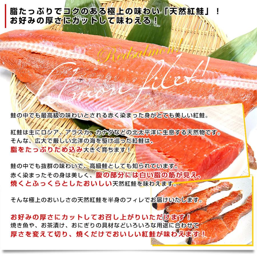 天然紅鮭フィレ（塩紅鮭）1.3キロ前後 送料無料 紅鮭 鮭 ベニザケ シャケ サケ フィーレ 冬ギフト 御歳暮 お歳暮