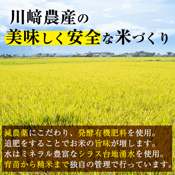 川崎さん自慢のなつほのか＜白米＆玄米＞ 計9kg(各4.5kg×2袋) a3-056