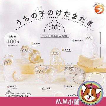 【M.M小舖】『現貨』 Bright link 轉蛋 扭蛋 我家毛孩透明吊飾 貓咪 透明 吊飾 公仔 全6款