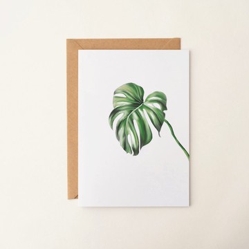 手繪植物卡片 龜背芋 祝福卡 生日卡 謝卡 手寫卡 萬用卡 客製卡