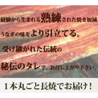 ふるさと納税 大型サイズふっくら柔らか　国産うなぎ蒲焼き　3尾 和歌山県九度山町