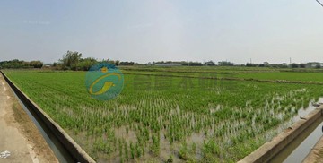 【新屋番婆土文段】稀有三面臨路農地｜桃園市新屋區番婆