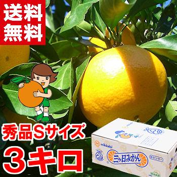 お歳暮 ギフト 三ケ日みかん（早生） 秀品Sサイズ 3kg