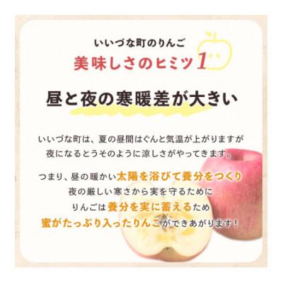 ふるさと納税 飯綱町 2024年11月以降出荷 訳あり りんご シナノゴールド 約5kg 光センサー選果 12〜20玉