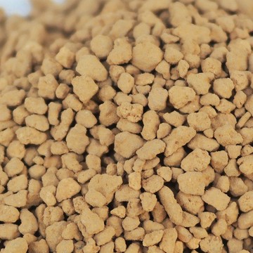 【荳荳多肉】【日本三本線赤玉土】喬遷│送禮│升遷│多肉植物