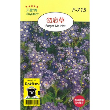 花田綠地種子 勿忘草