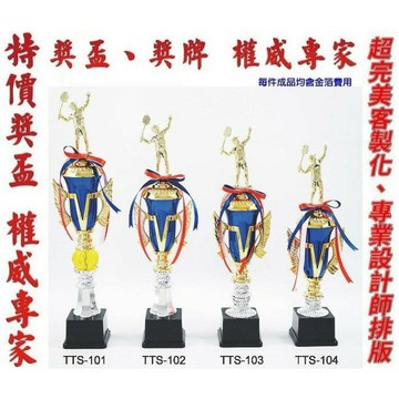 獎盃 獎牌 客製化 訂製各式比賽獎盃皆可承製喔 量多有優惠 TTS-101-104【大自在運動休閒精品店】