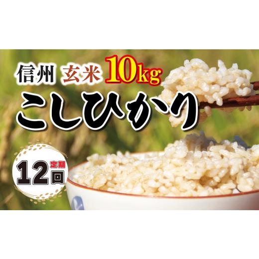 ふるさと納税 長野県 千曲市 信州米 こしひかり 玄米 10kg 長野県産