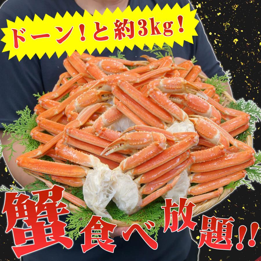 かに カニ ズワイガニ ボイル 蟹脚 総重量3kg 2Lサイズ 10〜14肩入り 送料無料 ずわいがに 鍋 贈答 プレゼント 最安値に挑戦