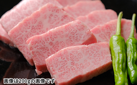 神戸牛　焼肉用 霜降りカルビ 500g（250g×2）