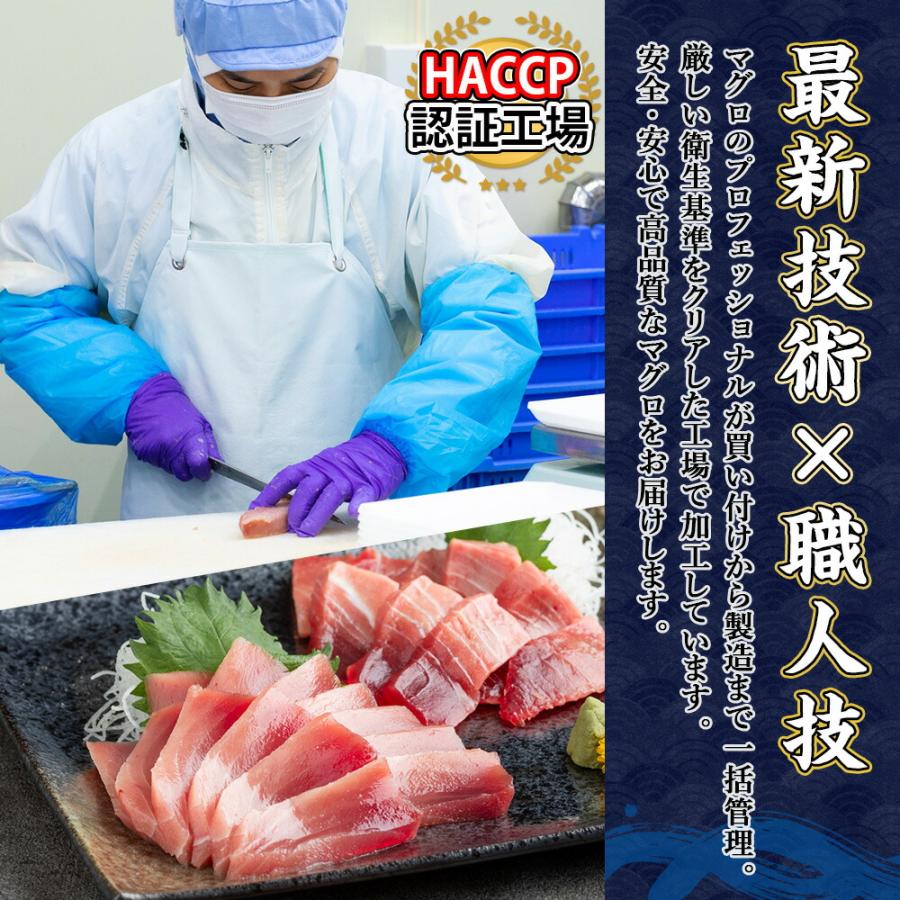 御歳暮 天然マグロ食べ比べセット ギフト対応 メバチマグロ 赤身 ネギトロ 本マグロ入り ねぎとろ まぐろ 鮪 刺身 トロ