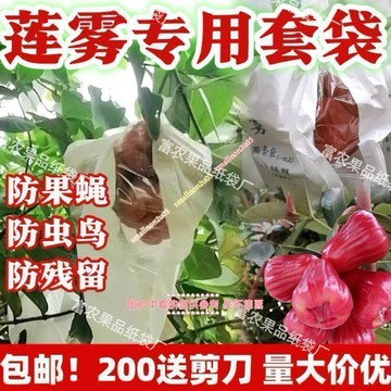蓮霧防蟲套袋專用果袋 釋迦果葡萄套袋防雨防水保護袋 果園包果袋防鳥防蟲防曬 農用透氣加厚耐候果實套袋資材