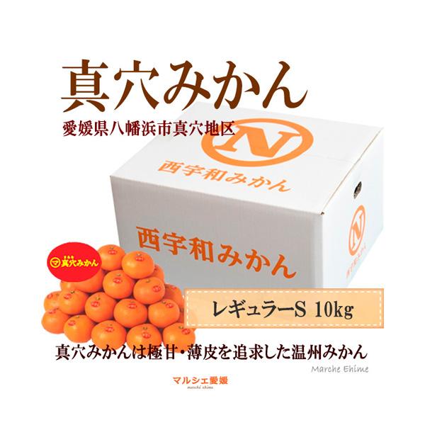 真穴みかん 10kg S 良品 レギュラー  贈答 愛媛 みかん まあな ｓ 御歳暮 10キロ 真穴共選 一部地域 送料無料