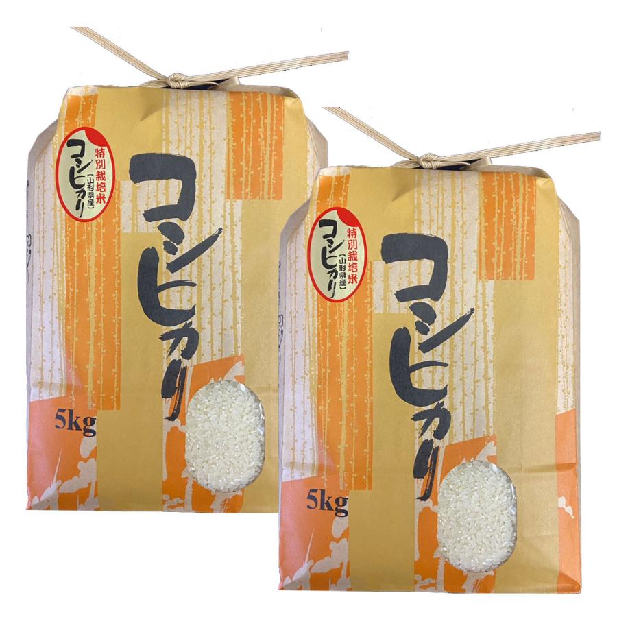 令和5年産 新米 送料無料 山形県産 特別栽培米 コシヒカリ 白米 5kg×2 10キロ 十キロ お米 おこめ 10kg