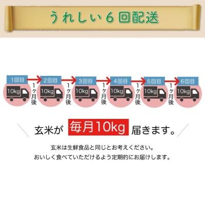 ふるさと納税 戸沢村 令和5年産 山形県戸沢村 はえぬき  60kg定期便 (10kg×6回)