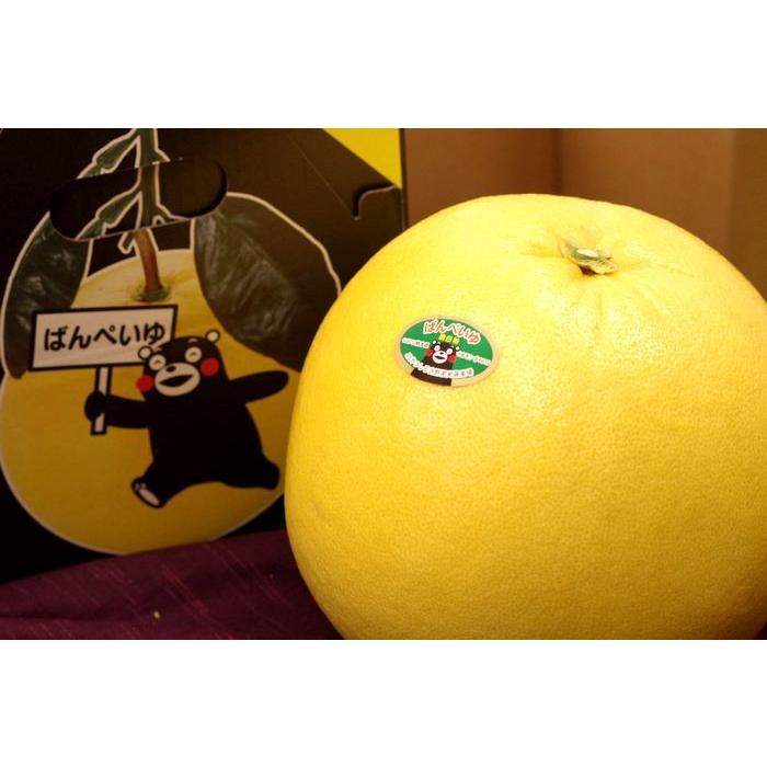晩白柚（ばんぺいゆ）通販 熊本県八代産の特大柑橘を販売取寄。1玉 熊本産