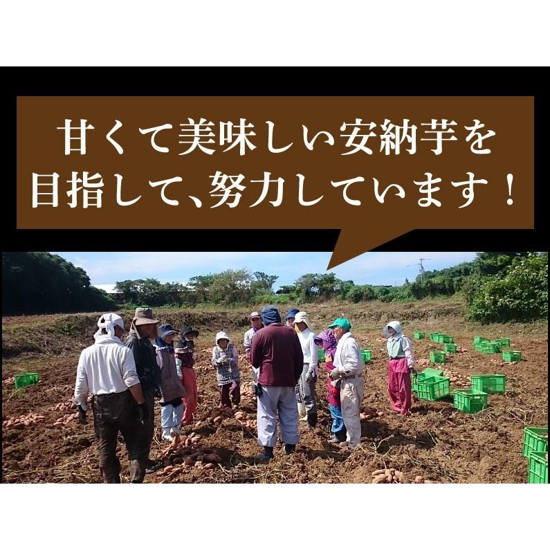 ポイント10倍 御歳暮 ギフト 安納芋 有機 安納いも あんのう芋 蜜芋 離乳食 五島列島 オーガニック Mサイズ A品 5kg グルメ Y常