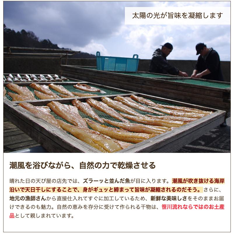 笹川流れの極み干し 6パック入り 笹川流れ地魚処 天ぴ屋 送料無料