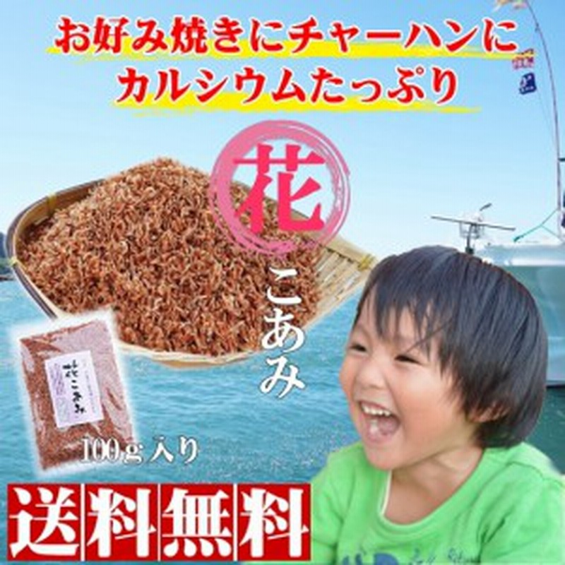 早春の三陸の味 花こあみ１００ｇパック あみえび 干しエビ 干し海老 オキアミ メール便送料無料 Dm便発送 アミエビ 小えび アキアミ 通販 Lineポイント最大1 0 Get Lineショッピング