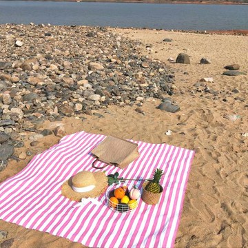 ins桌布家居少女派對野餐布條紋粉色 格子藍條春游戶外聚會郊游墊