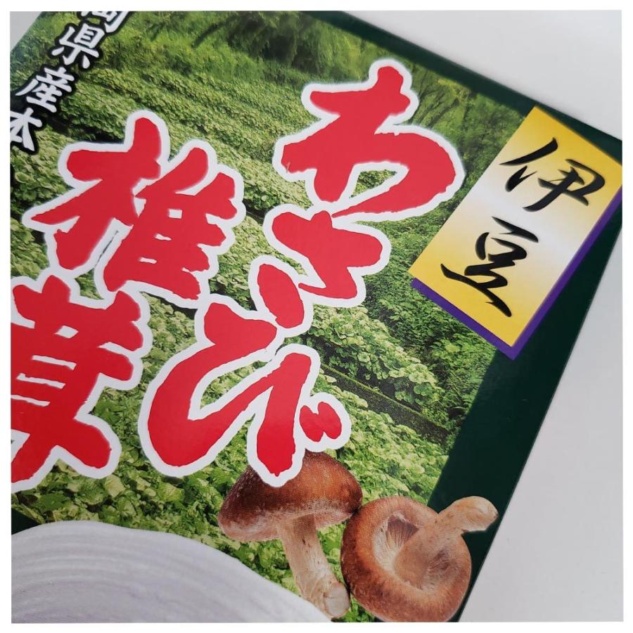 伊豆 わさび椎茸 210g 1箱 佃煮