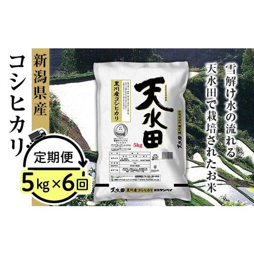 ふるさと納税 新潟県 胎内市 27-056A新潟県黒川産コシヒカリ5kg