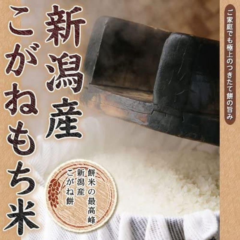 新潟県産 白米 こがねもち米 5kg 令和4年産