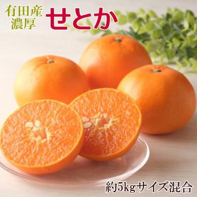 ふるさと納税 有田川町 一度は食べていただきたい「有田産のせとか」約5kg(サイズ混合　秀品)(有田川町)