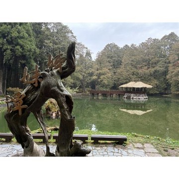 嘉義旅遊｜阿里山國家森林遊樂區.步道漫遊森呼吸一日｜台中出發_26TXCY8ALA