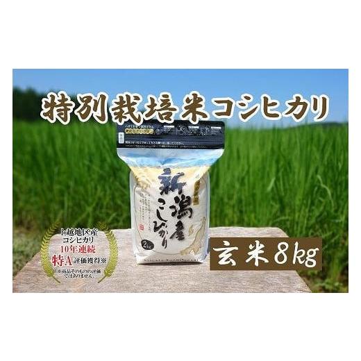 ふるさと納税 新潟県 上越市 令和5年産｜新潟上越三和産｜特別栽培米コシヒカリ（従来種）8kg（2kg×4）玄米