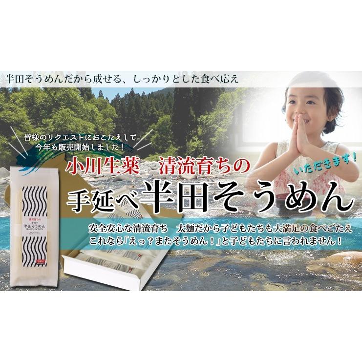 小川生薬 清流育ちの手延べ半田そうめん（半田素麺）10袋 2.4kg(80g×30束）※約30食分