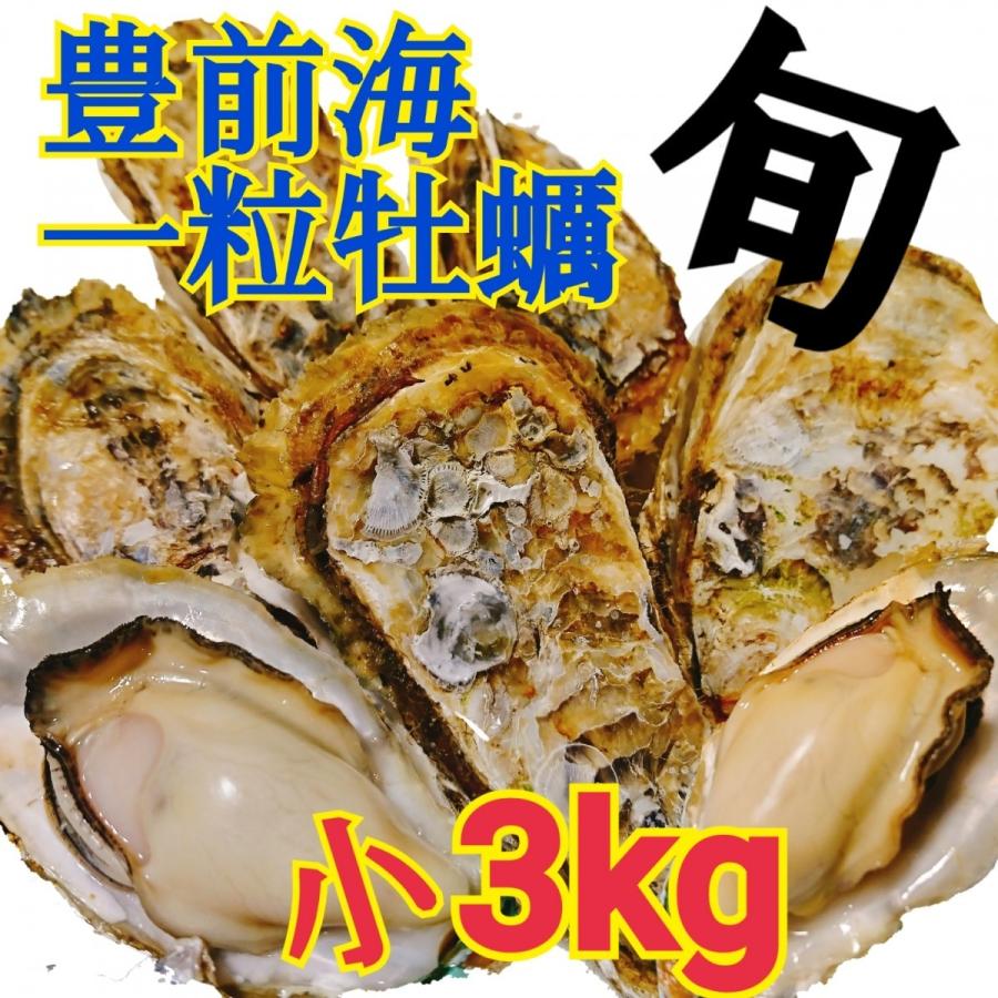 一粒牡蠣 （かき）小　豊前海産カキ　3ｋｇ