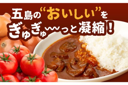 こだわりの五島ハヤシ5箱セット 化学調味料・着色料不使用 創作郷土料理いつき 五島産 牛肉 野菜五島市 出口さんご[PBK017]