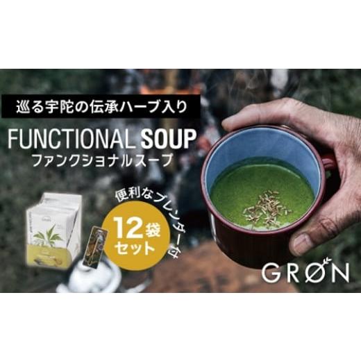 ふるさと納税 奈良県 宇陀市 ファンクショナルスープ ホーリーモーリーグリーン 12袋 大和当帰葉使用 ／ 合同会社グリーンベース 無添加 インスタント スープ …