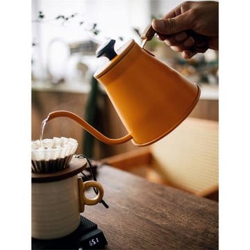 半宅咖啡手沖壺燃氣灶電磁爐通用帶溫度計細嘴壺戶外露營燒水壺