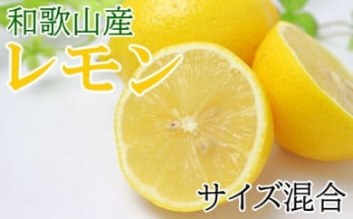 和歌山産レモン約5kg（サイズ混合）★2024年3月中旬頃より順次発送