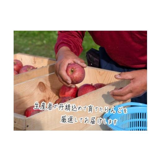 ふるさと納税 青森県 鰺ヶ沢町 ヒバリノ園のサンふじ 約5kg(14〜18玉)　青森県鰺ヶ沢町産りんご ※オンライン決済のみ