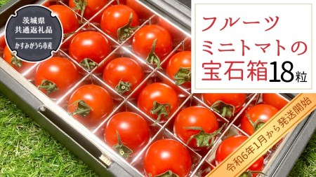 フルーツミニトマト の 宝石箱 18粒  野菜 トマト フルーツ ミニトマト フルーツ