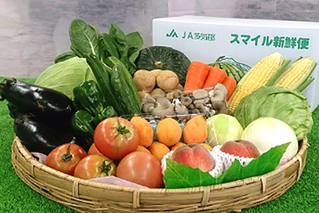 JA-04　旬の野菜と果物の詰め合わせ