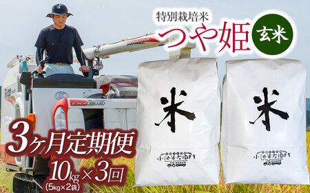 令和5年産 新米 山形県庄内産 小池半左衛門のお米 特別栽培米 つや姫 玄米10kg(5kg×2)×3回（計30kg）