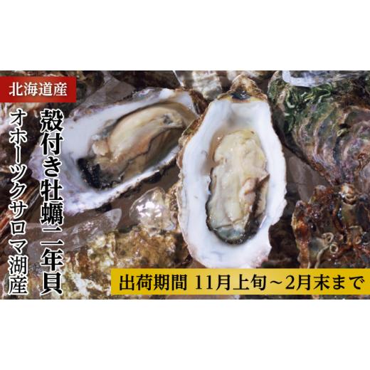 ふるさと納税 北海道 佐呂間町 カキ 殻付き 2年貝 約2.5kg（25個前後） 佐呂間産 サロマ湖 北海道 オホーツク 佐呂間町 牡蠣 海鮮 魚介