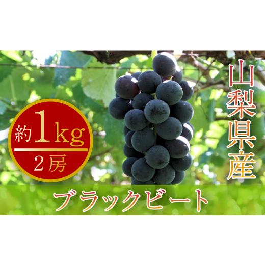 ふるさと納税 山梨県 甲州市 ブラックビート 2房 約1kg 山梨県産 数量限定（PJ）B-168